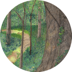 Natural Wonder Fellowship