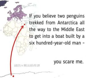 Penguins Antarctica To Middle East