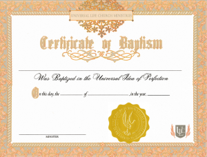 Baptism Universal Idea of Perfection
